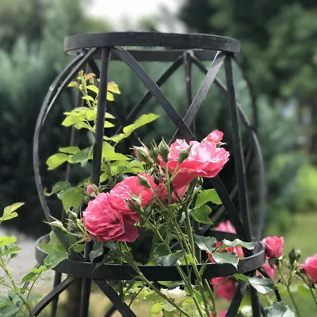 Сasa de vacaciones Camillas Hoehe