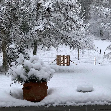 Camillas Hoehe * Mirbach