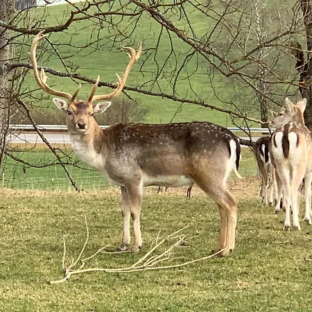 Camillas Hoehe Mirbach