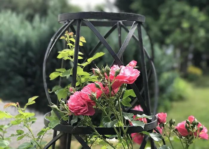 Dom wakacyjny Camillas Hoehe