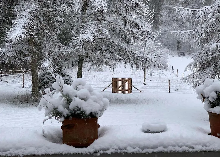 Camillas Hoehe * Mirbach